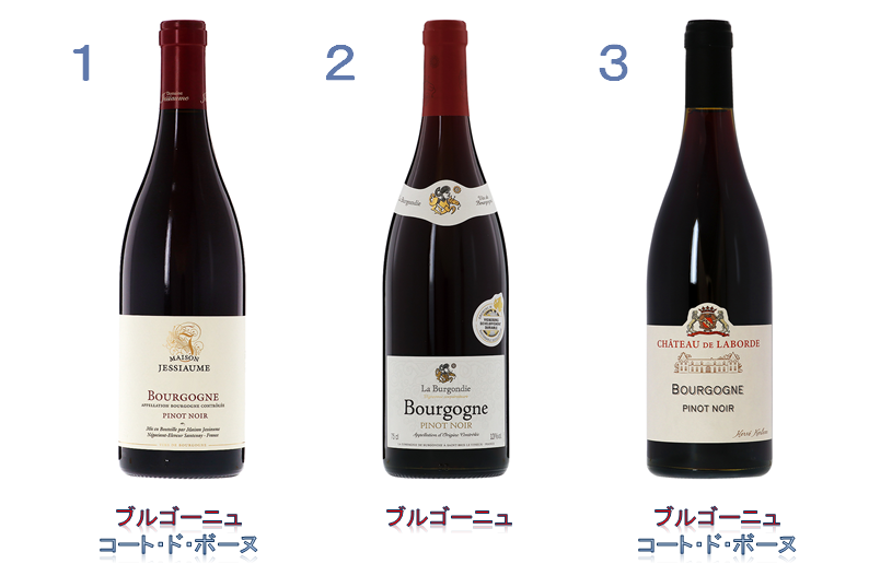 ブルゴーニュ 赤ワイン （ピノ・ノワール）３本セット / wine＆ ～くらしを彩るワイン＆リカーマルシェ～
