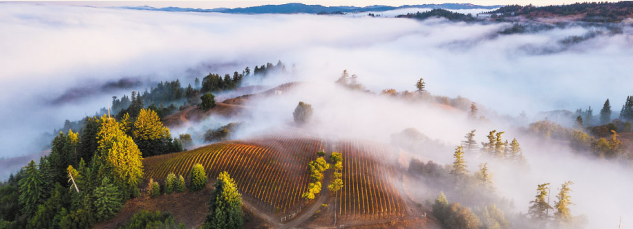 カリフォルニアのワイン生産地域