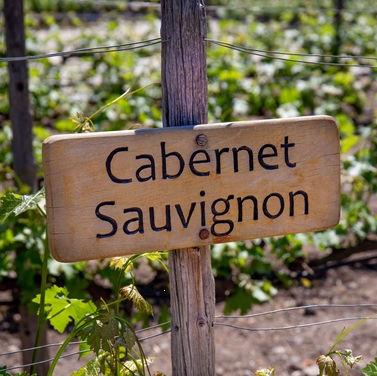 36 カベルネ・ソーヴィニヨンは「黒ブドウの王様」！特徴と魅力を徹底解説