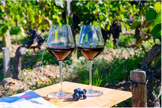 ブドウ畑の中のテーブルに赤ワインの入ったグラスが2脚ある画像