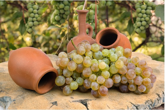 木の切株の上に素焼きの壺と白ブドウが乗っている画像