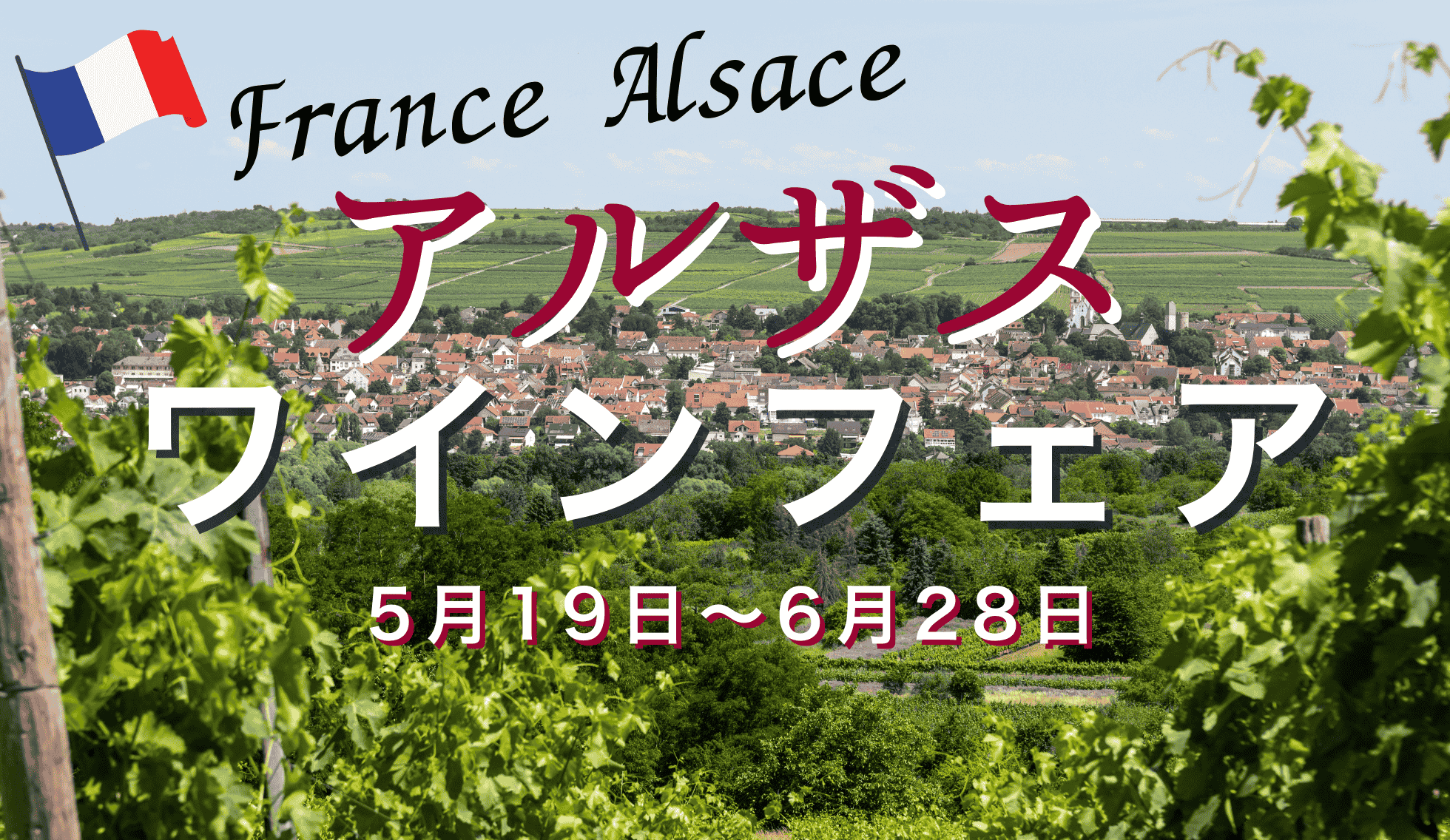アルザスワイン、アルザスロックス